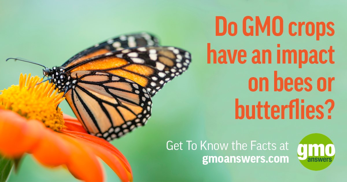 Top 10 Consumer Questions About GMOs, Answered GMO Answers